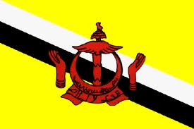 Indonesian flag