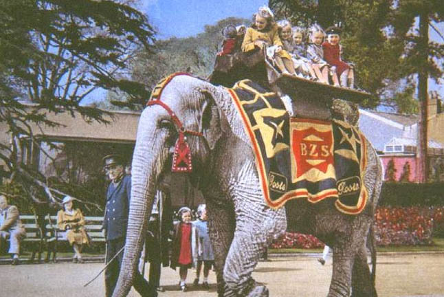 Zoo