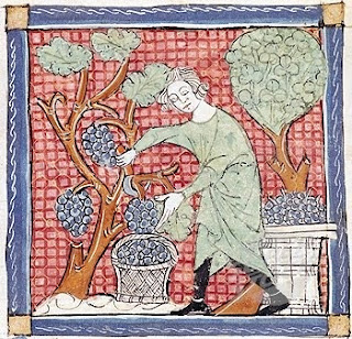Medieval Vineyard