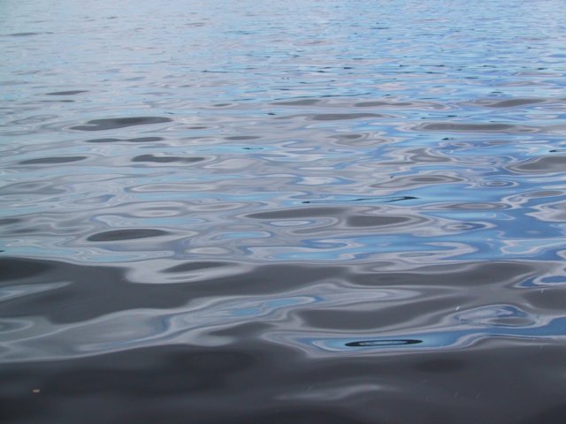 The Sea