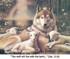 lamb and wolf