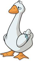 goslings