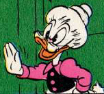 The Spanish Duck