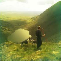 Cumbrian Shepherd